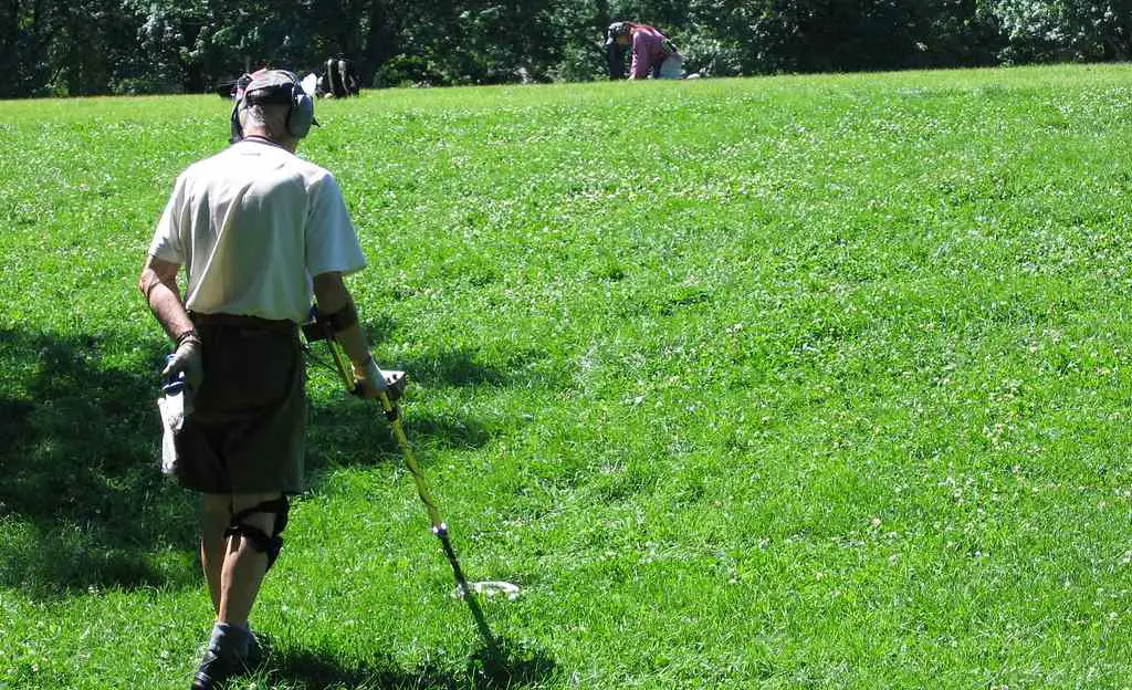 metal detecting in grass