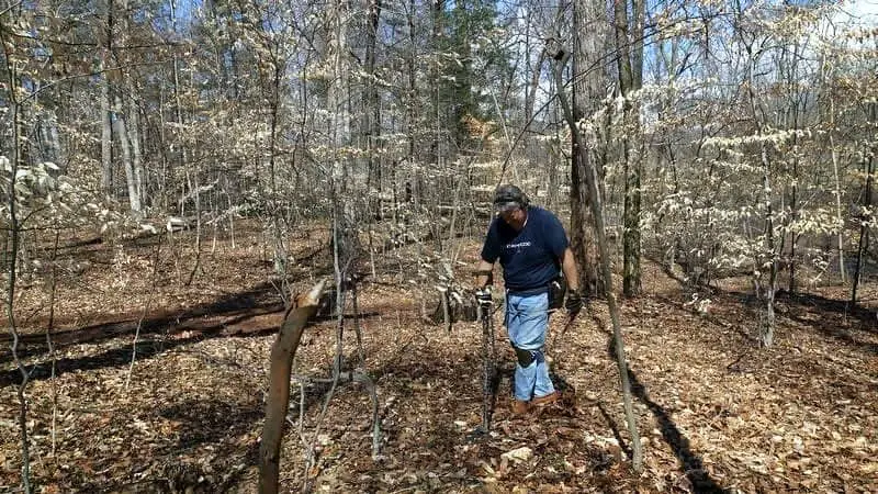 metal detecting in the woods