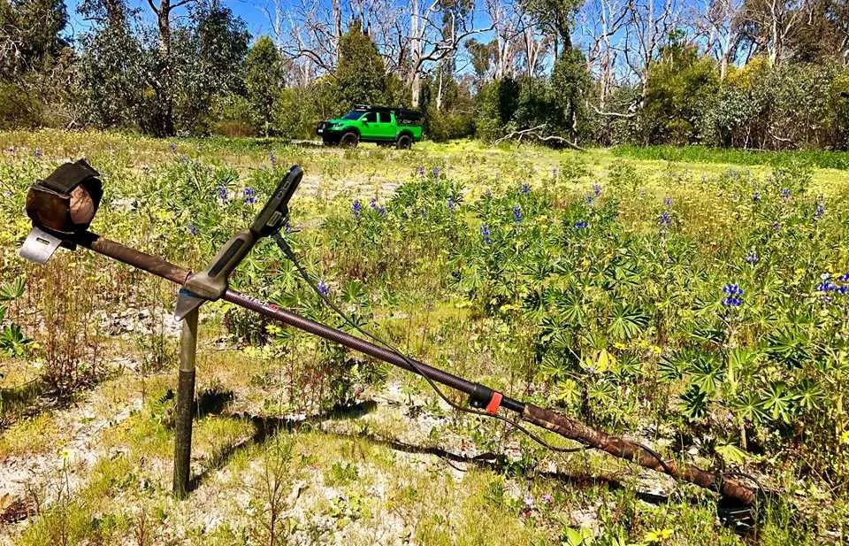 metal detecting in illinois