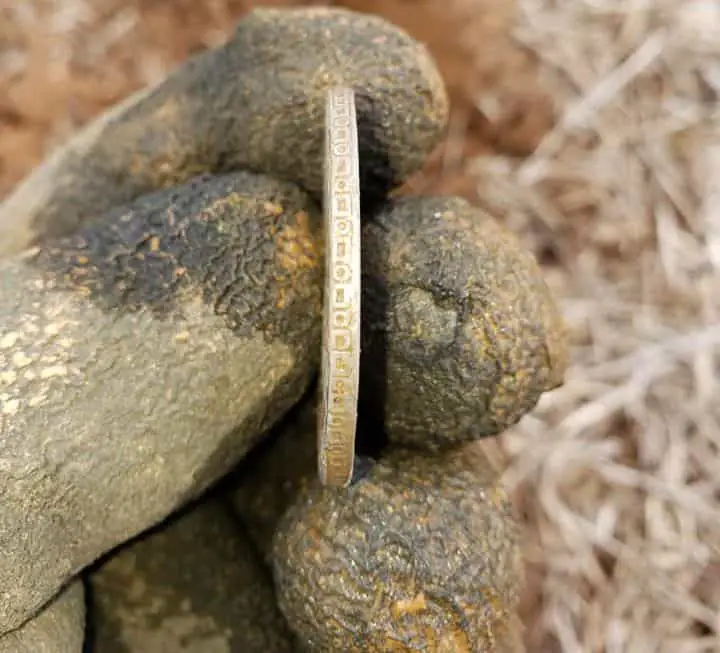 Can metal detectors detect gold coin