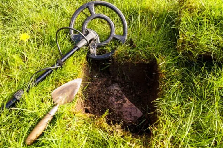 Can Metal Detectors Detect Meteorites? [Detailed Guide!] Detecting School