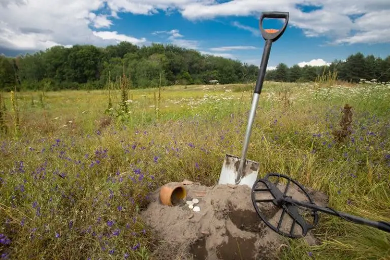 Can Metal Detectors Detect Gold? (Explained with Examples) Detecting School